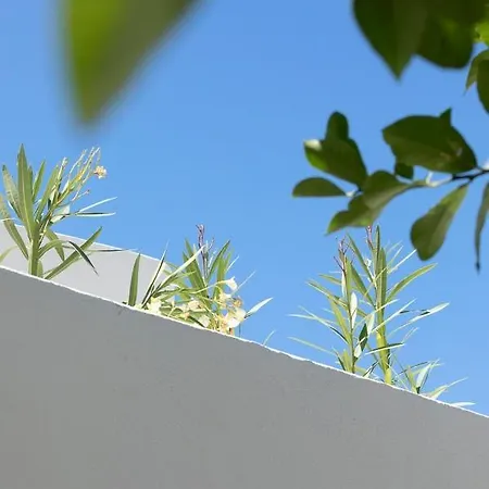 Acave Santorini Apartment *
